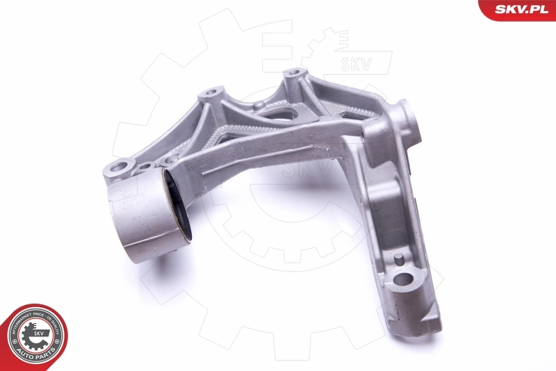 Steering Knuckle, wheel suspension